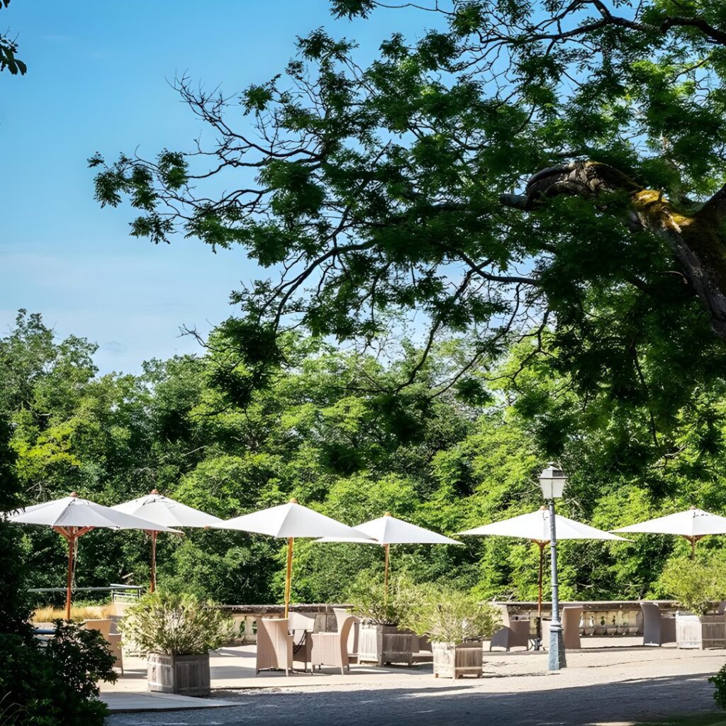 Château de la Tortinière